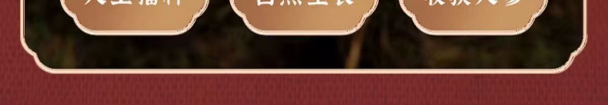 富泉参宝10.jpg